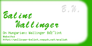 balint wallinger business card